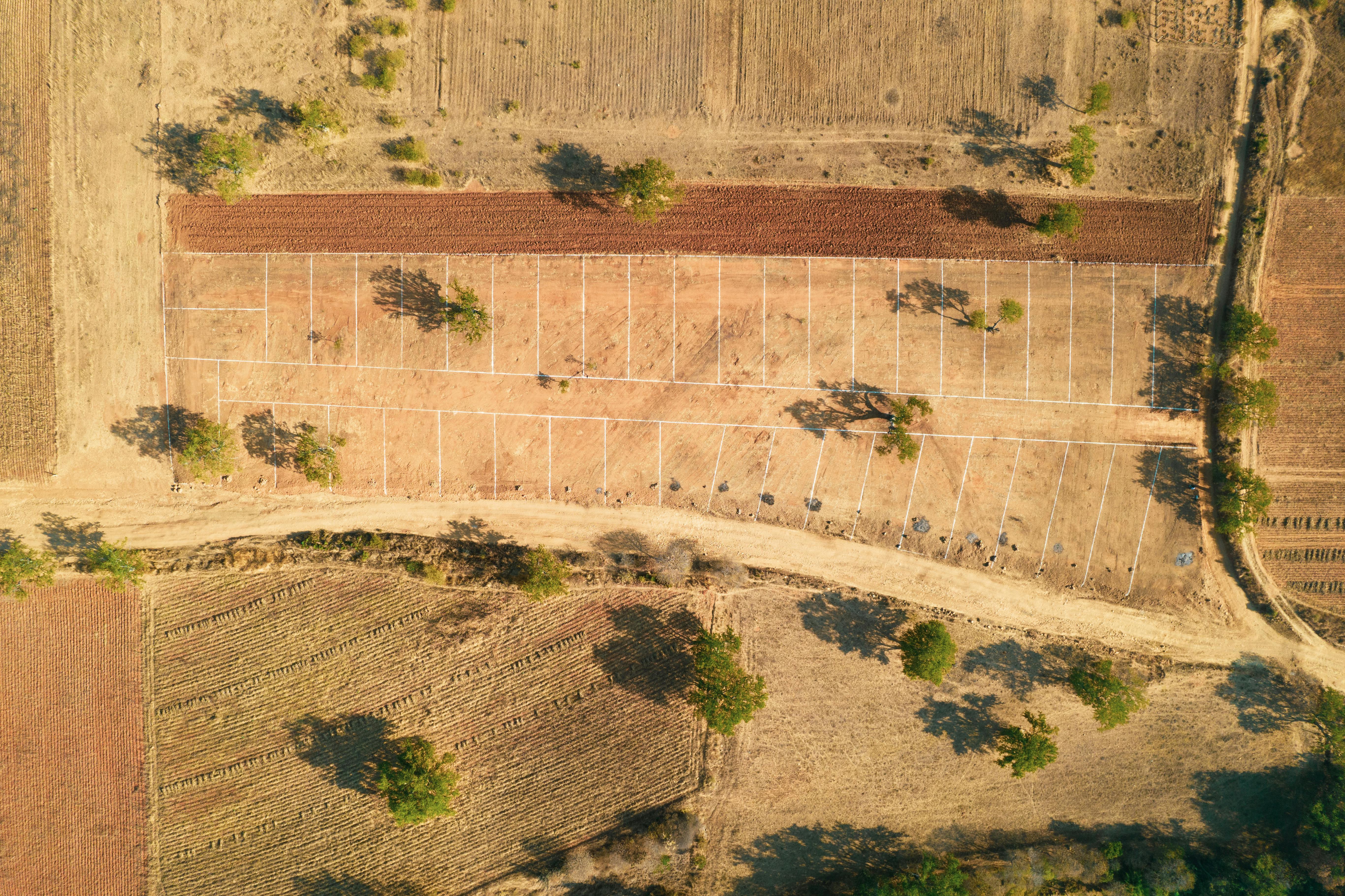 Boundary Survey