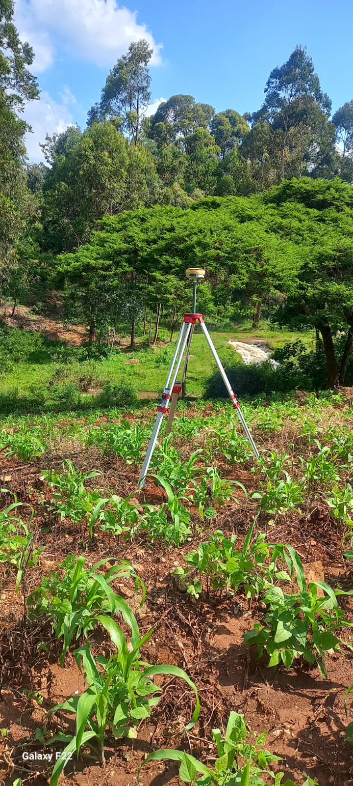 Topographic Survey